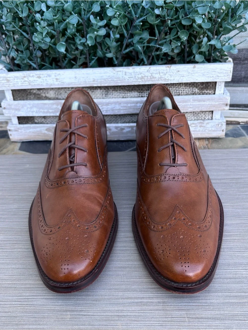 COLE HAAN Cambridge Wingtip Oxfords